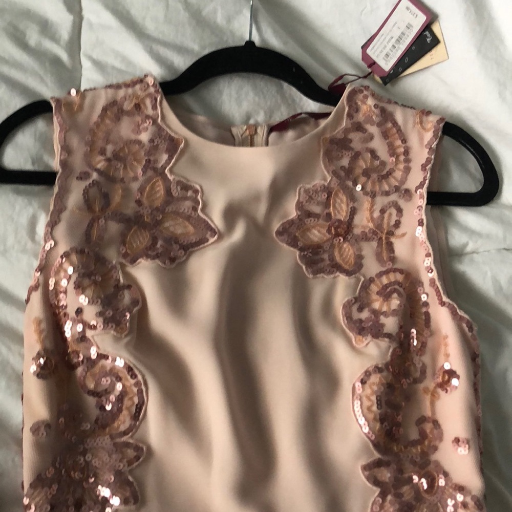 Ted Baker Dress